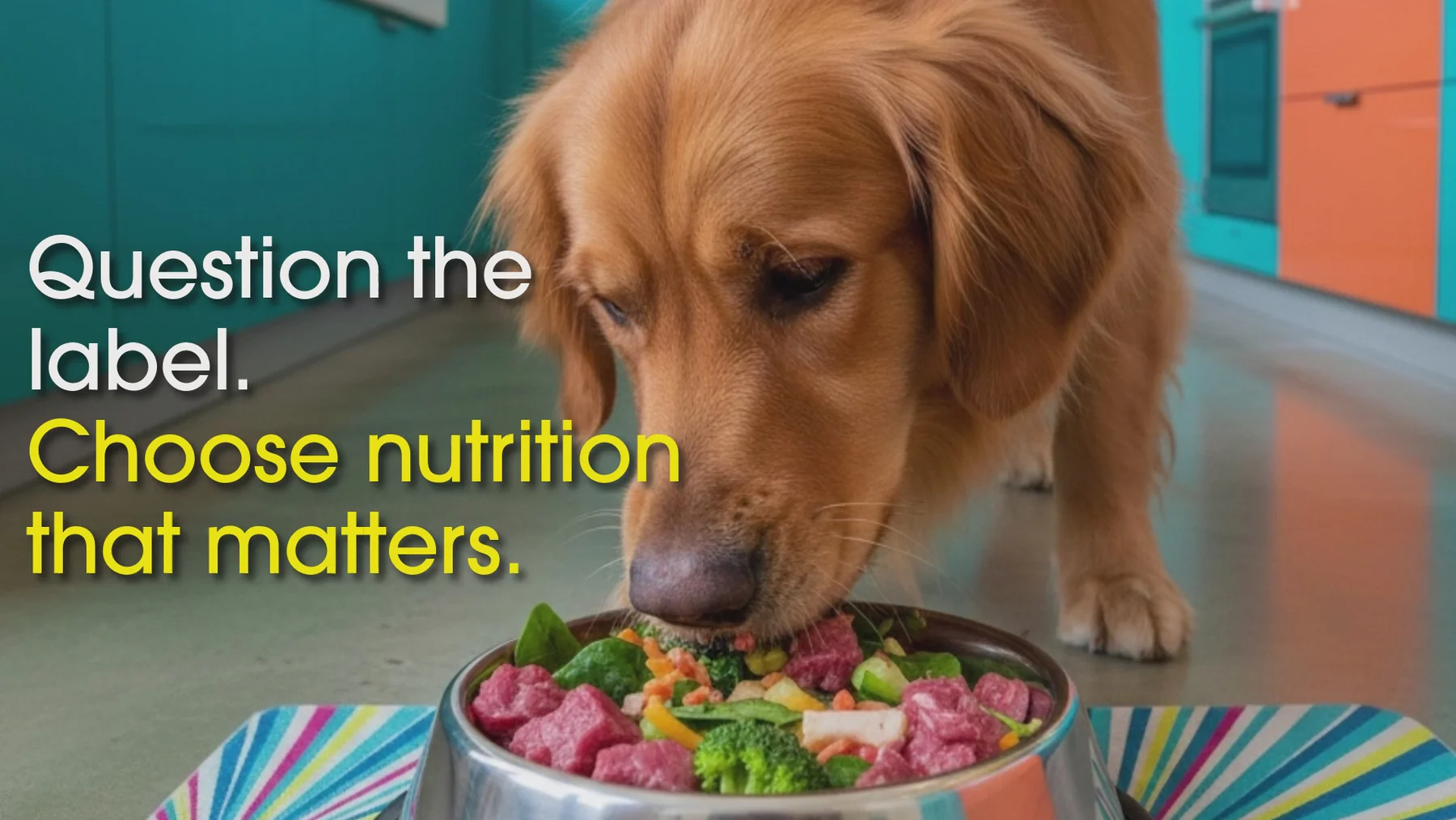 Healthy Food for Happy Pets